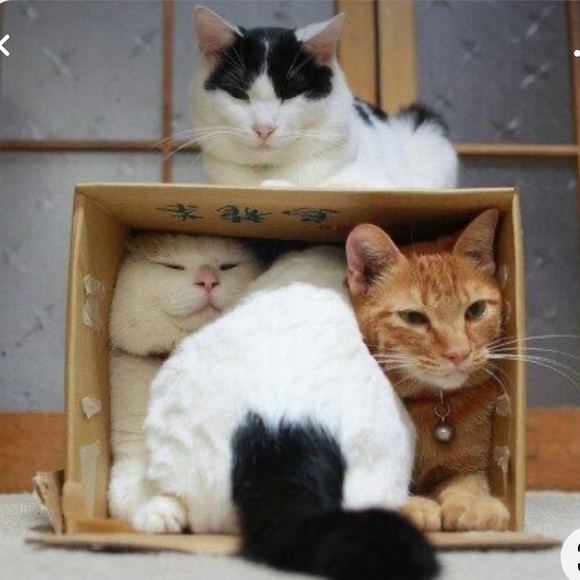 🌿I Pack With Care & Bubble Wrap🌿 - Picture 10 of 16